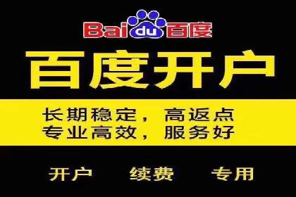 成功SEM竞价托管案例分析报告